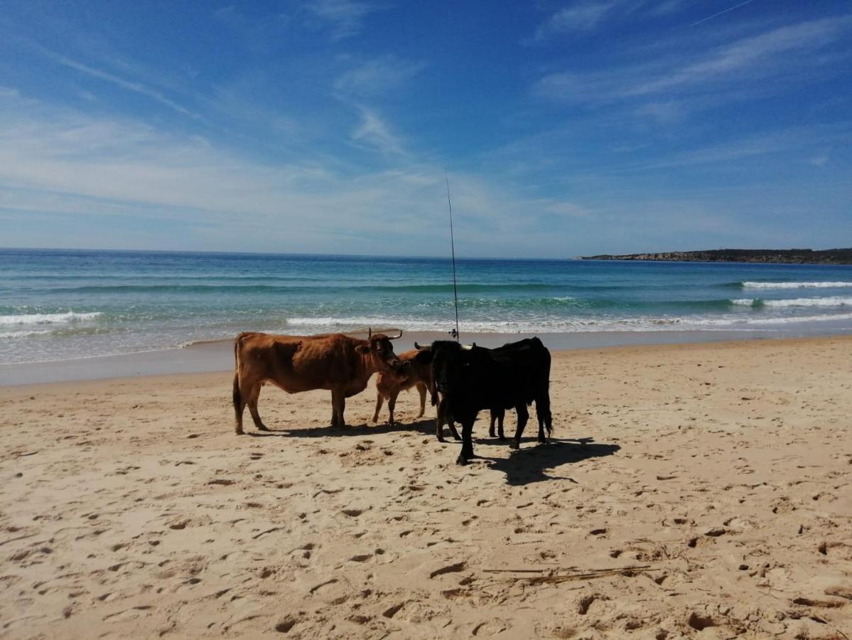 El Nido Appartamento Tarifa Esterno foto