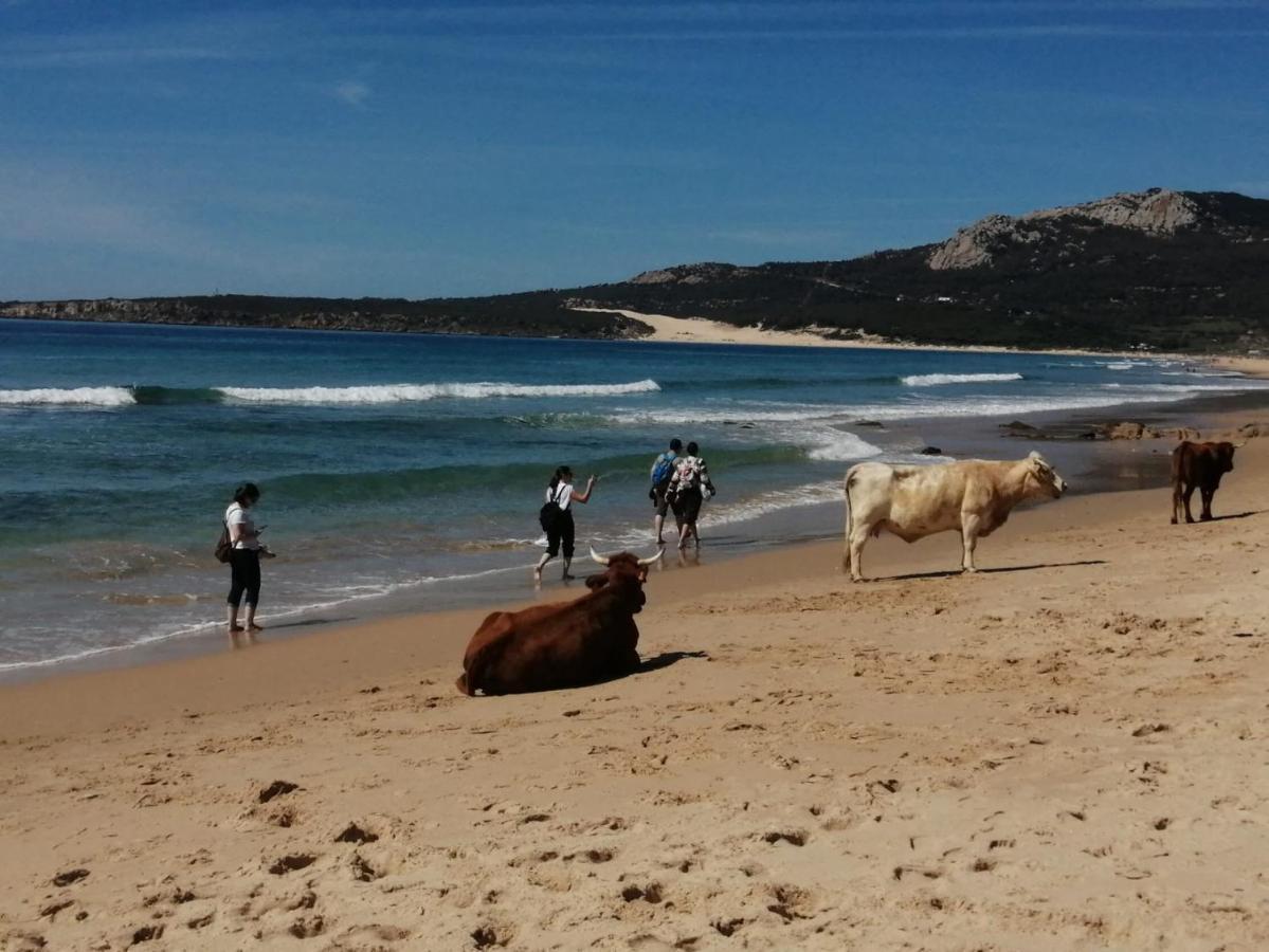 El Nido Appartamento Tarifa Esterno foto